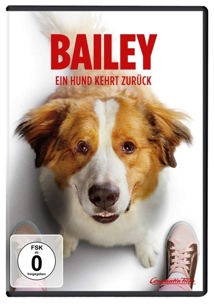 Gewinnspiel Wir verlosen Bailey Ein Hund kehrt zurück DVDs Beyond