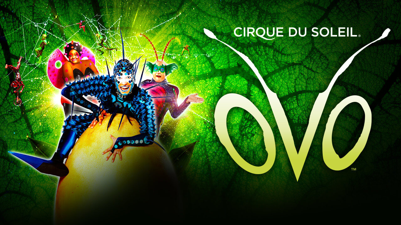 Cirque du Soleil Ovo Das artistische Ei kommt 2024 nach Wien Beyond