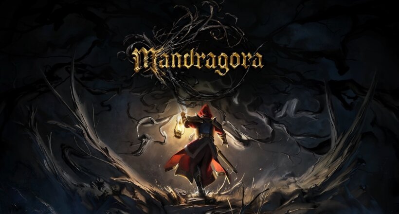 Mandragora